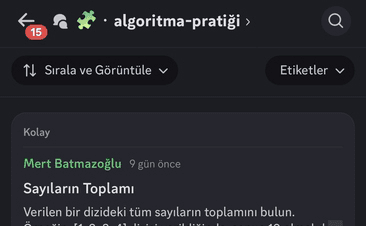 Developmert Discord soru kanalı